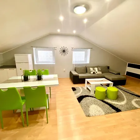 Suzi ツリクヴェニツァ